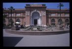 CM garden 3.jpg